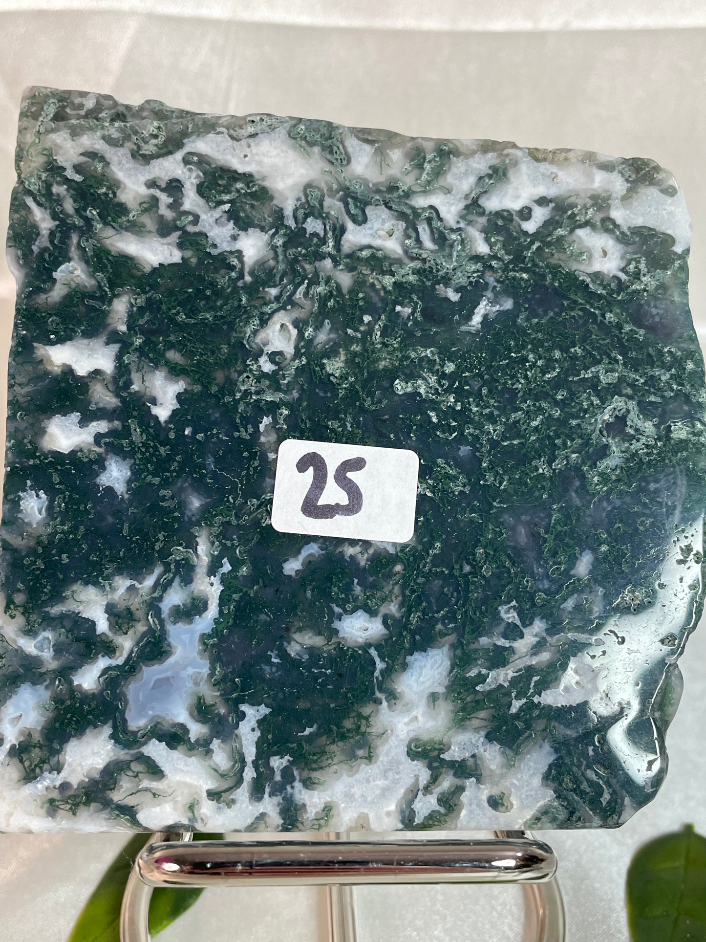 Moss Agate Slabs