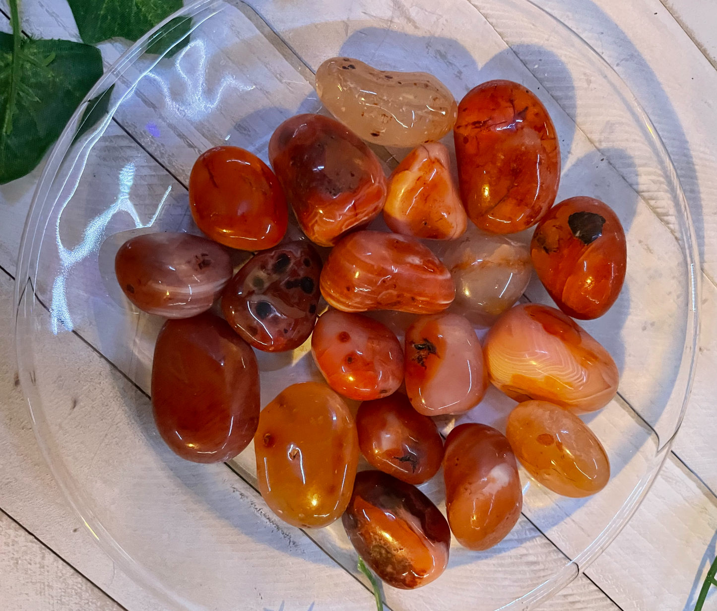 Carnelian Agate Tumbled