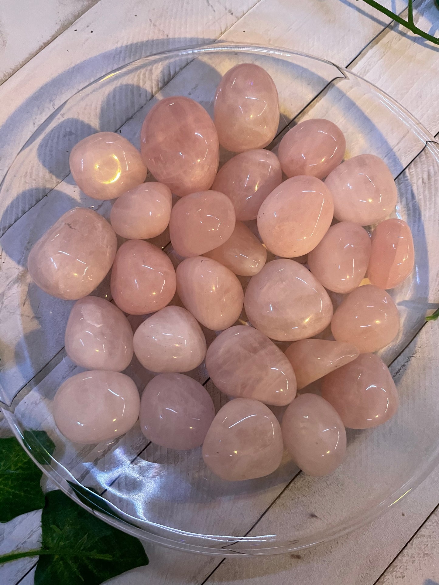 Rose Quartz Tumbled