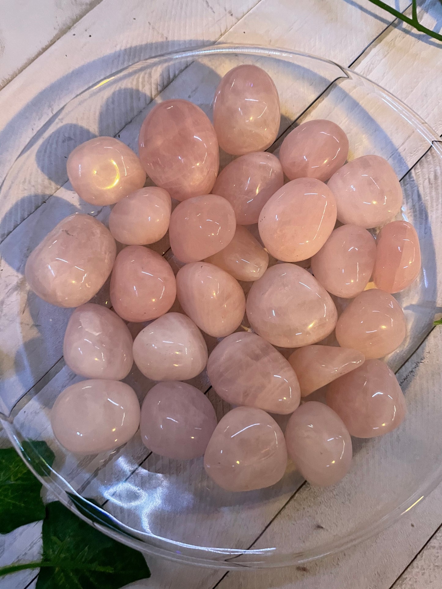 Rose Quartz Tumbled