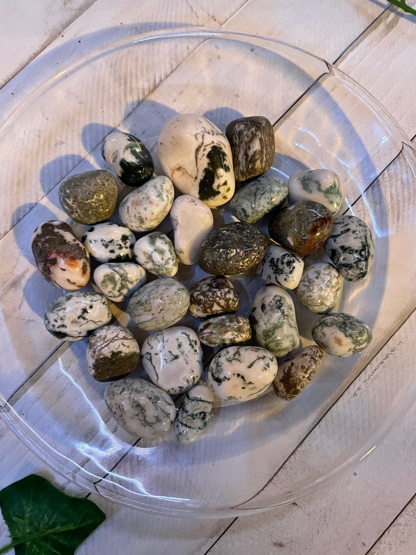 Tree Agate Tumbles